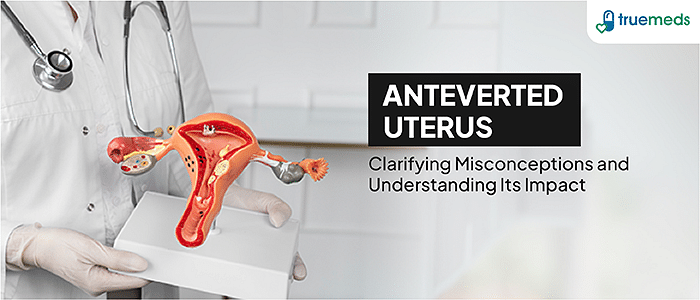 Anteverted Uterus