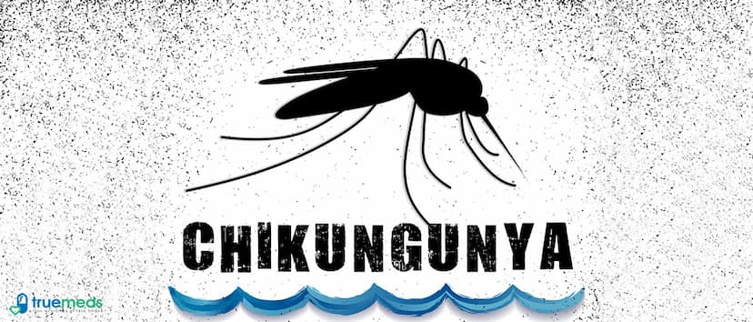 Chikungunya Virus- What Do You Need To Know?