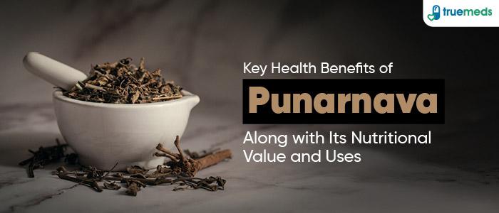 Top Health Benefits of Punarnava With Its Nutrition Value and Uses